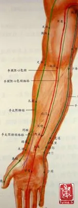 Formation-tuina-1
