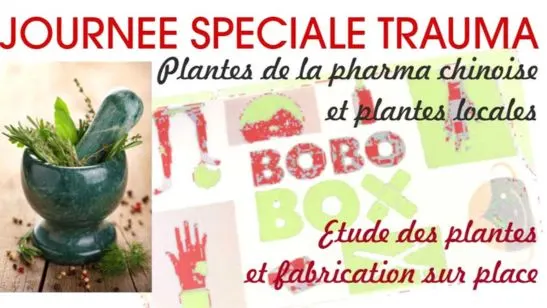 journee-speciale-trauma-formation-tuina-fr